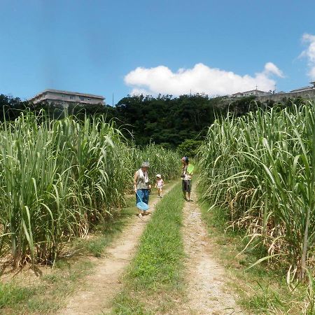 Okinawa Hostel Yanbaru Fukuro Nago Luaran gambar