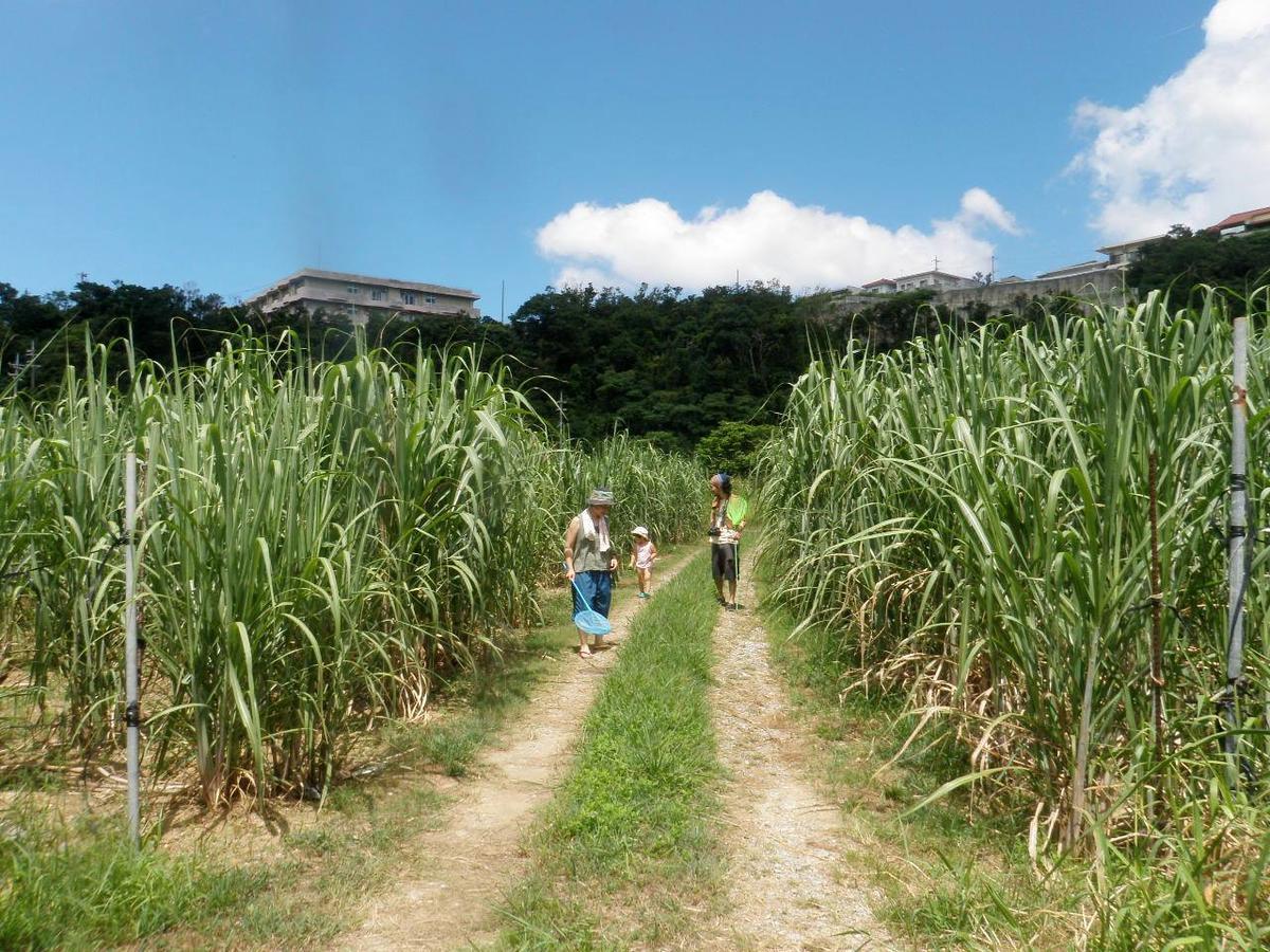 Okinawa Hostel Yanbaru Fukuro Nago Luaran gambar