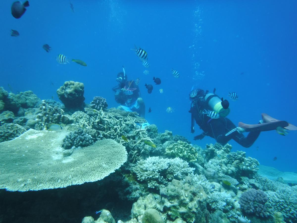 Okinawa Hostel Yanbaru Fukuro Nago Luaran gambar