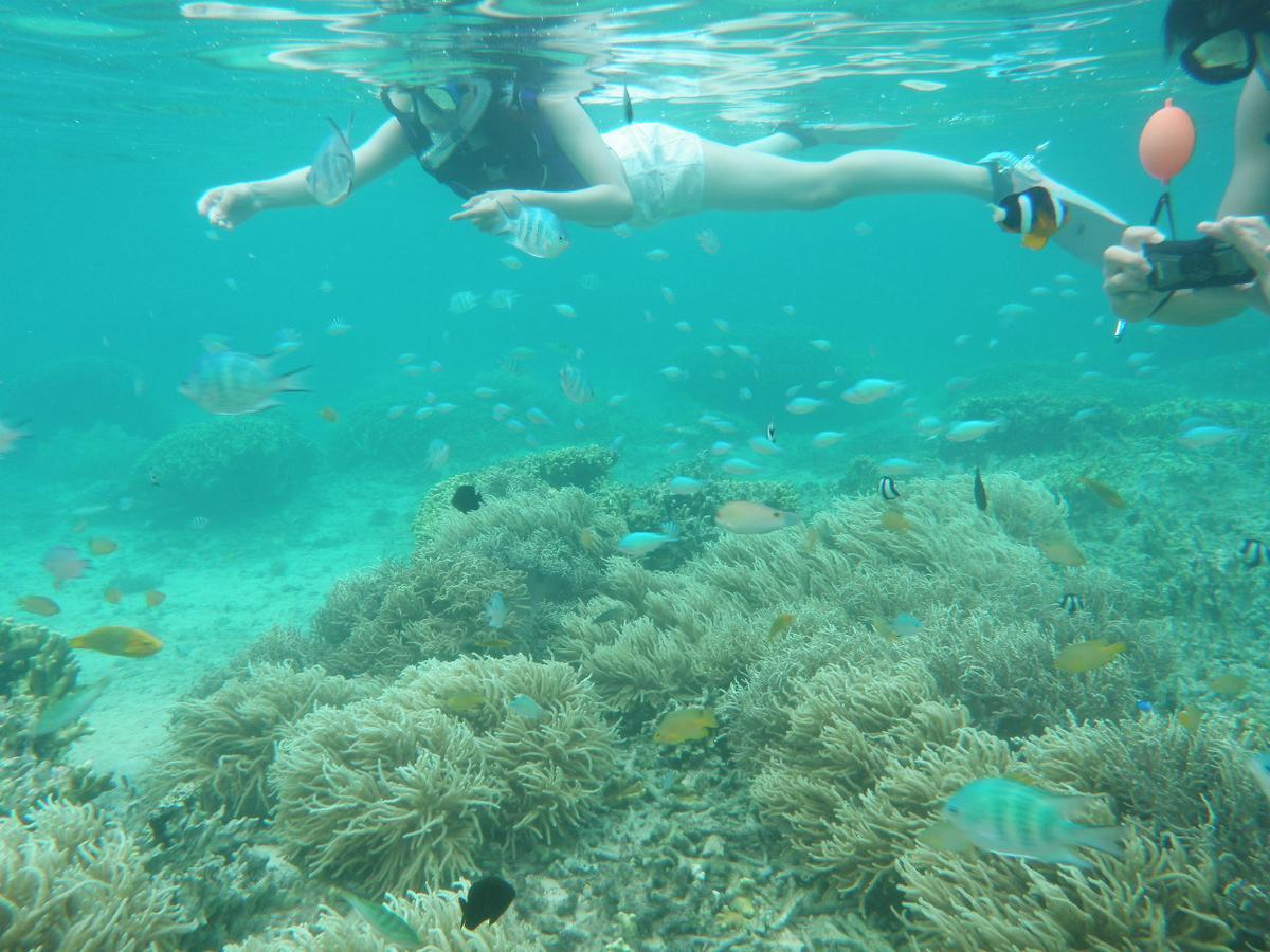 Okinawa Hostel Yanbaru Fukuro Nago Luaran gambar